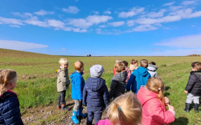 Activités d’automne