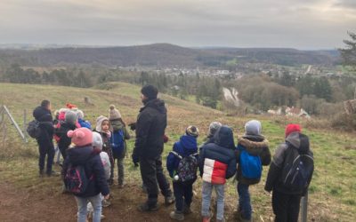 Entre forêt, autruche et orientation – Han-sur-Lesse, Jour 2