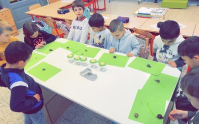 Des petits invités d’automne