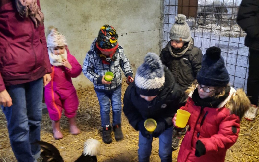 Journée à la ferme