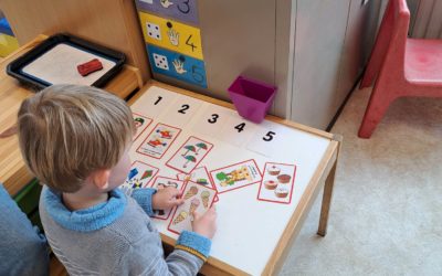 Travail sur les nombres en M1