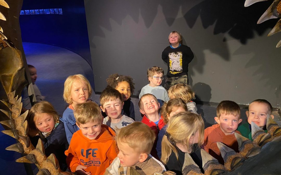 Aquarium de Liège