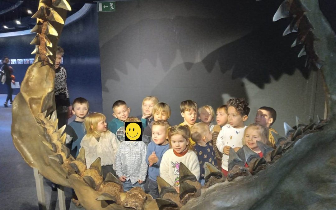 Visite de l’aquarium à Liège avec les M1
