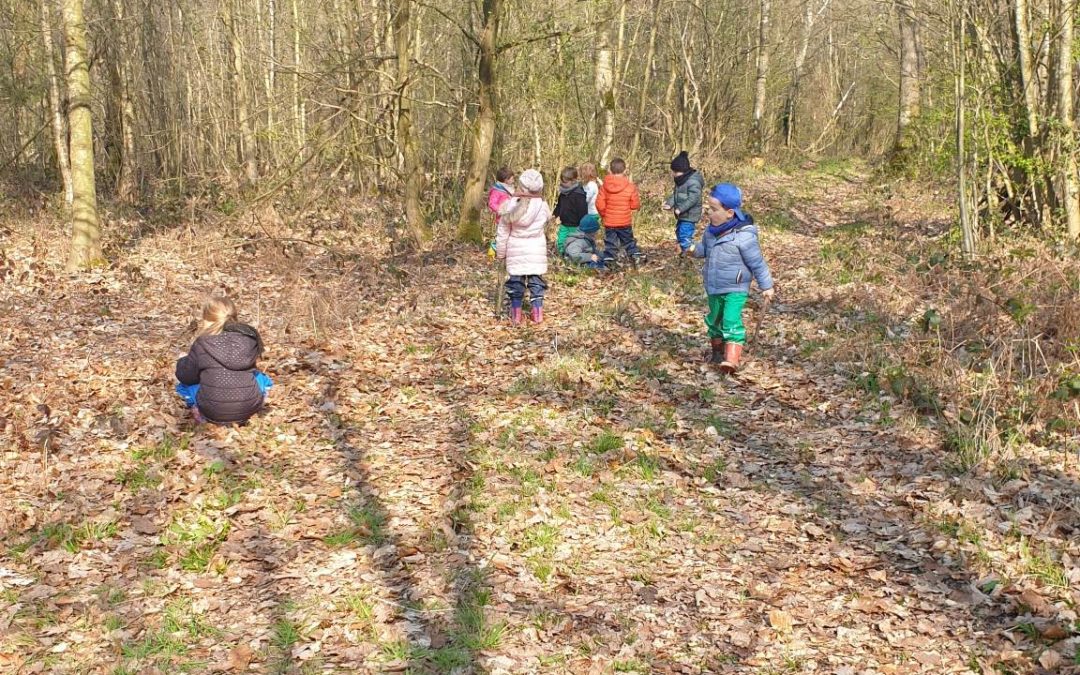 Matinée au bois de Siroux
