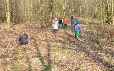 Matinée au bois de Siroux