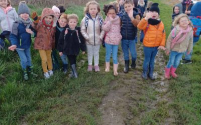 Classe promenade