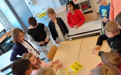 Ateliers en P2