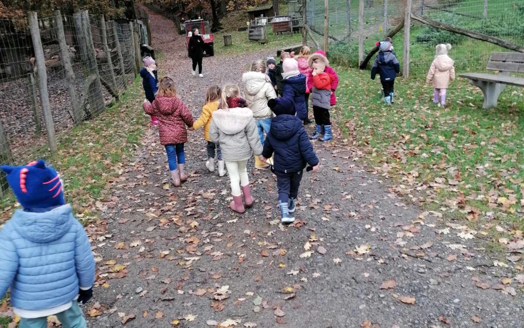 Parc à gibier