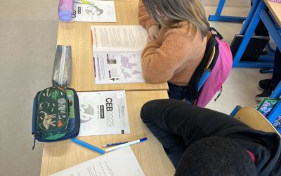 Découverte des CEB
