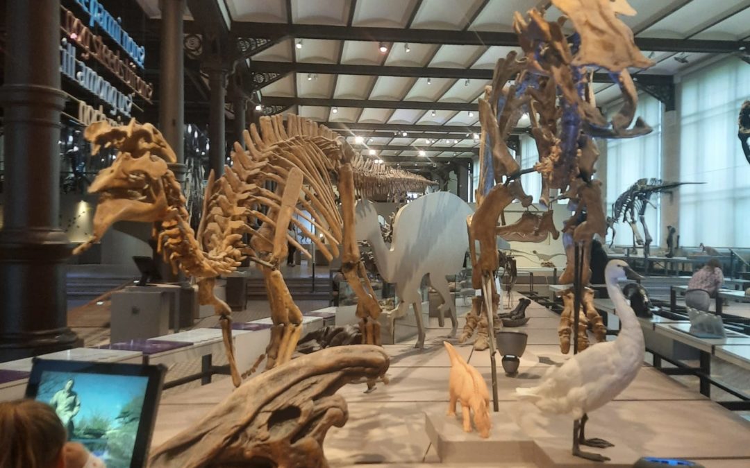 La vie sur Terre et les dinosaures