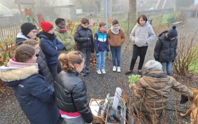 Projet « Biodivercité »