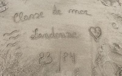 Classes de mer – Landenne