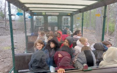 Classes vertes – Han sur Lesse – Jour 4