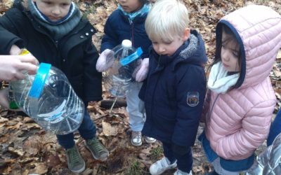 Quelques activités réalisées cet hiver