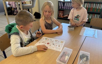 Ateliers et division