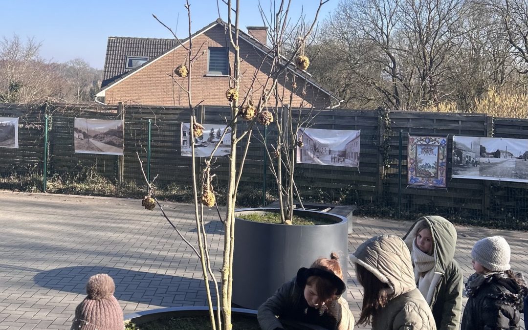 Les oiseaux en hiver, varier plaisir et apprentissages