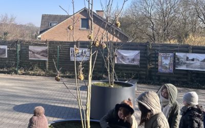Les oiseaux en hiver, varier plaisir et apprentissages