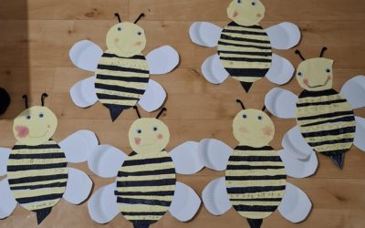Coccinelles et autres