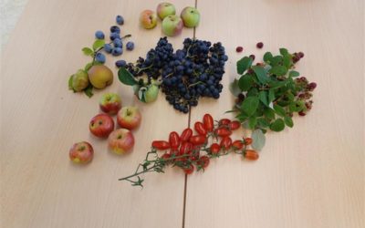 Des nouvelles des M1
