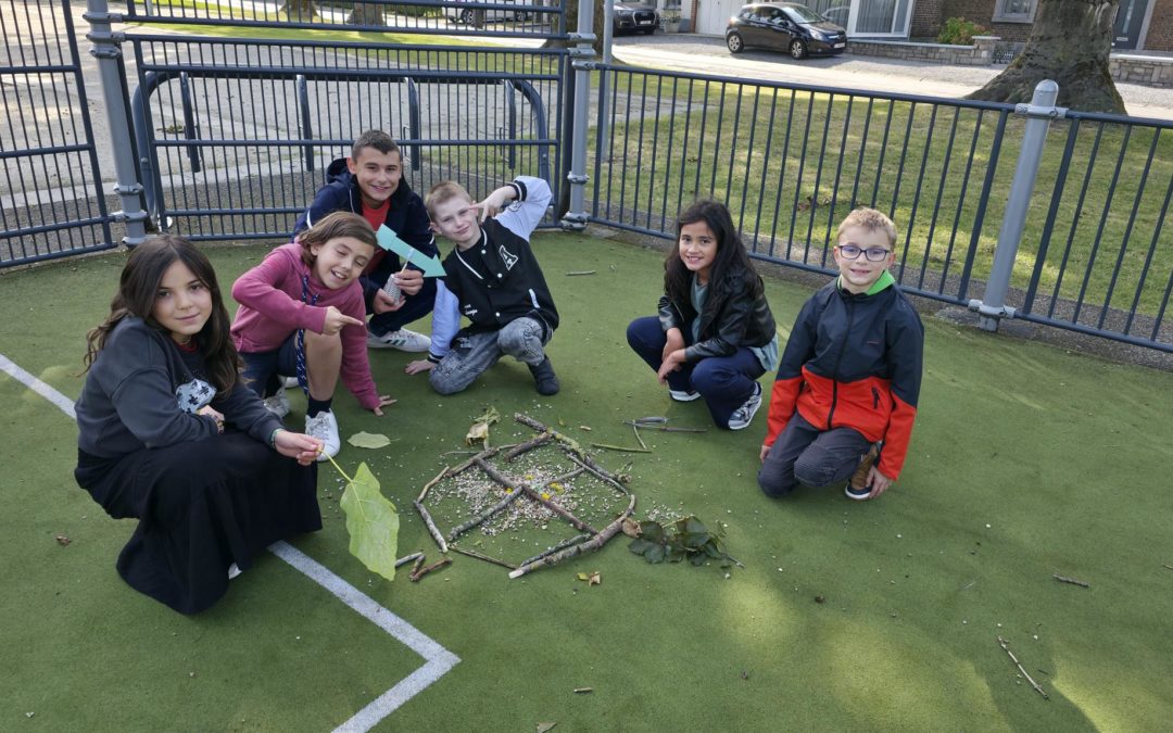 Explorateurs en herbe en P5