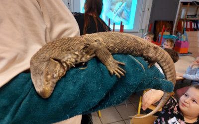 A la découverte des reptiles