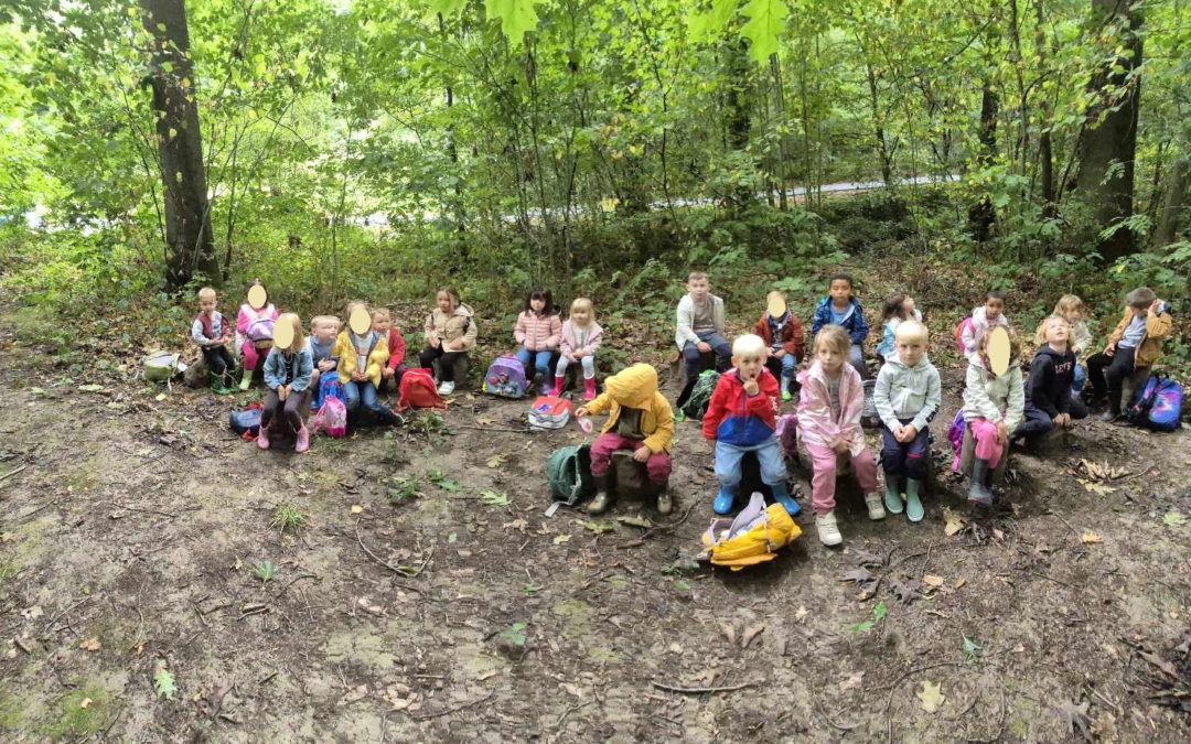 Matinées dans le bois