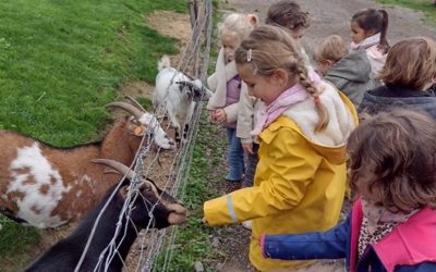 Sortie pédagogique à la ferme