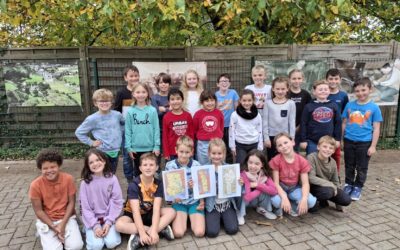 Quelques nouvelles des P3 P4 depuis la rentrée…