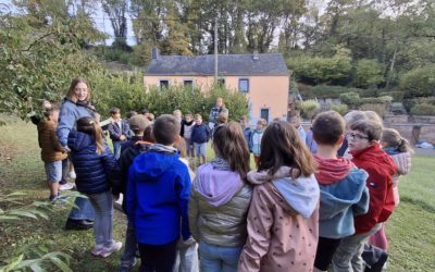 Balade découverte à Vezin pour les P3 P4