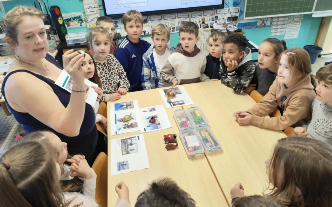 Création en 3 dimensions (1ère séance)