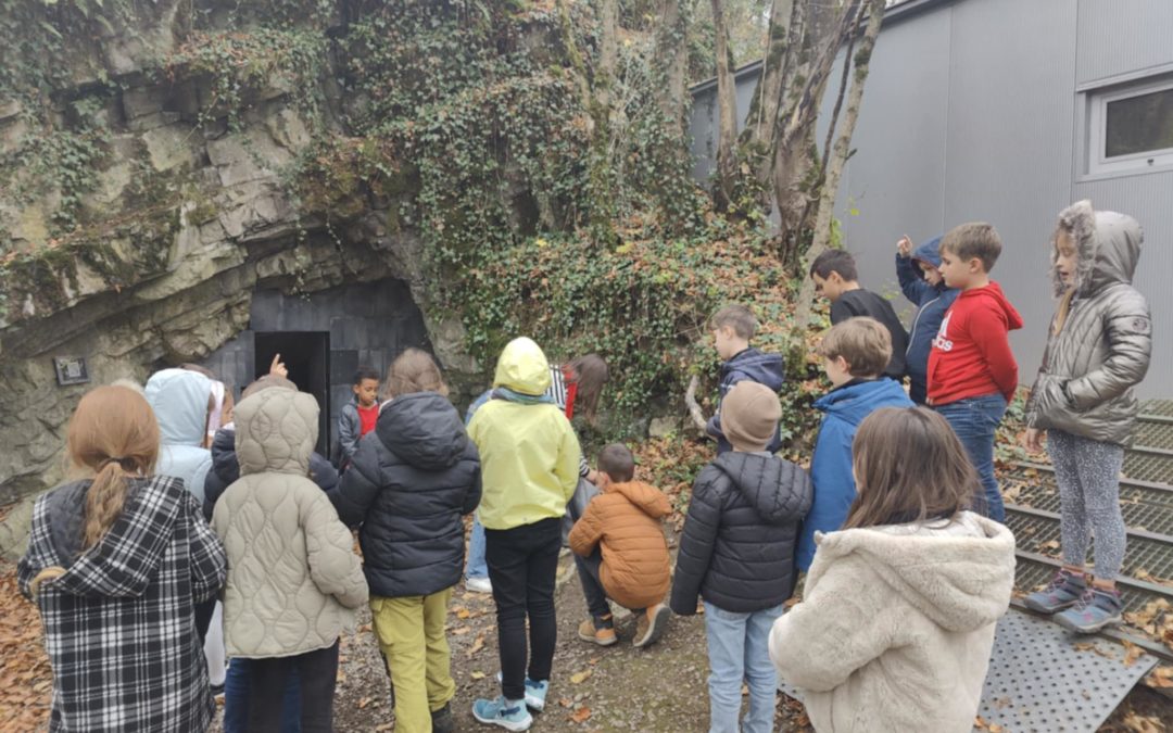 Création en 3 dimensions (2e séance)