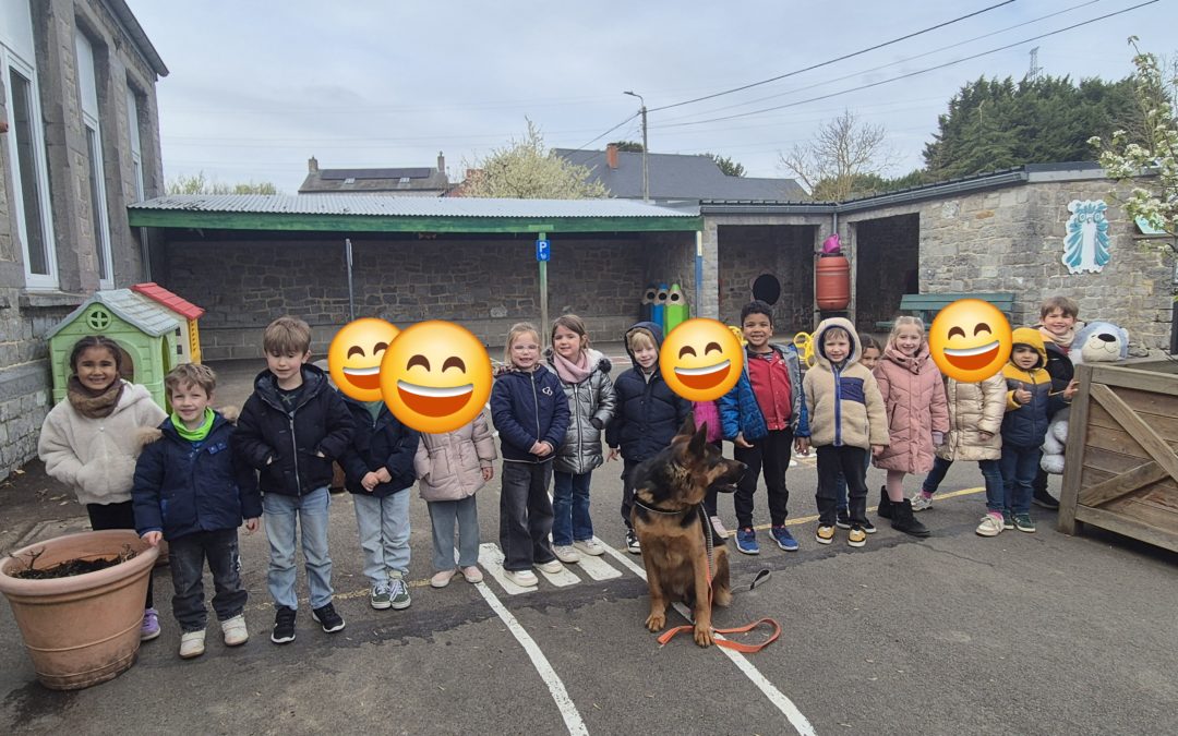 Les comportements envers les chiens