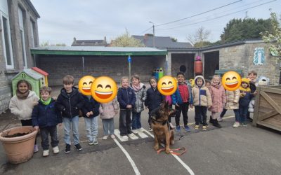 Les comportements envers les chiens