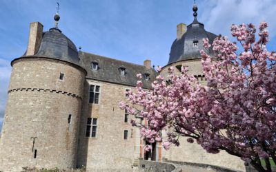 Chasse au trésor au château de Lavaux-Sainte-Anne