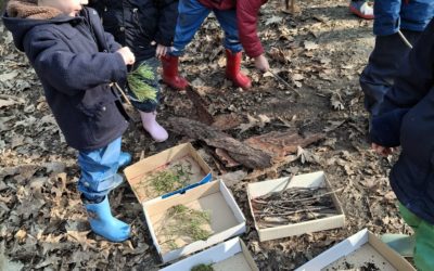 La vue et le toucher